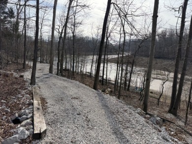 Building Lot with Dock Space Available - photo 13