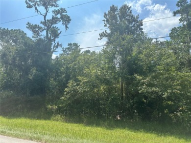 Daisy Lake Lot Sale Pending in Deland Florida