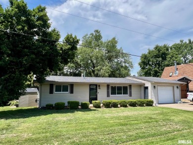 Lake Home For Sale in Petersburg, Illinois