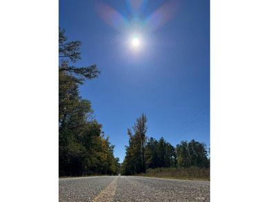 Lake Acreage For Sale in Cuba, Alabama