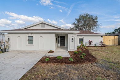 Banana Lake Home For Sale in Lakeland Florida