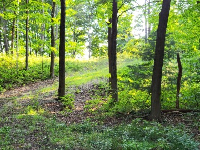 Lake Acreage Sale Pending in Fennville, Michigan