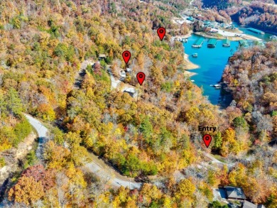 Norris Lake Home For Sale in New Tazewell Tennessee