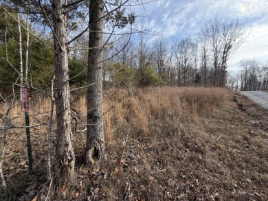 Building Lot with Dock Space Available - photo 8