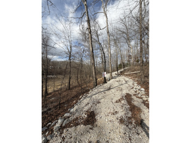 Building Lot with Dock Space Available - photo 19