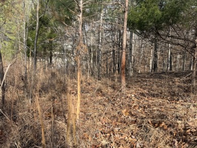 Building Lot with Dock Space Available - photo 4