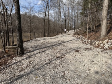 Building Lot with Dock Space Available - photo 17