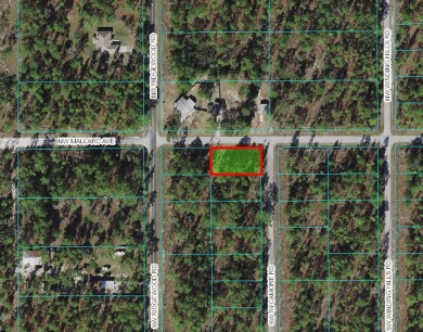 Bonable Lake Lot For Sale in Dunnellon Florida