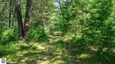 Lake Acreage For Sale in Glennie, Michigan