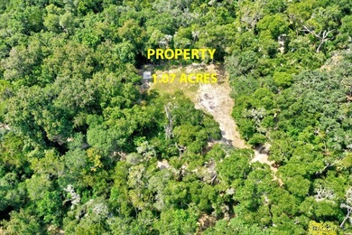 Tsala Apopka Chain of Lakes Lot Sale Pending in Inverness Florida