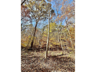 12.34 Acres of wooded hillside with small pond, tall and - photo 15