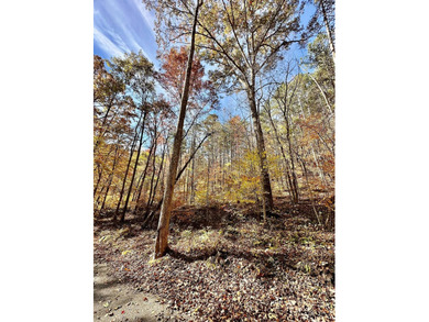 12.34 Acres of wooded hillside with small pond, tall and - photo 16
