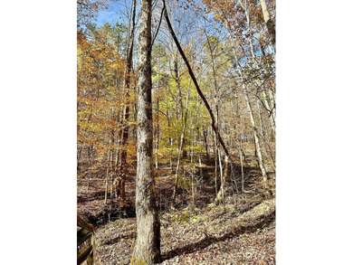 12.34 Acres of wooded hillside with small pond, tall and - photo 19