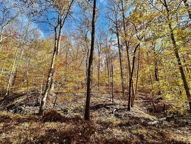 12.34 Acres of wooded hillside with small pond, tall and - photo 21