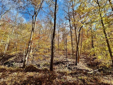 12.34 Acres of wooded hillside with small pond, tall and - photo 22
