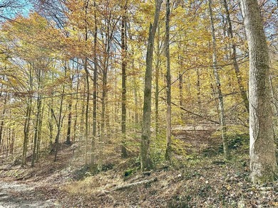 12.34 Acres of wooded hillside with small pond, tall and - photo 23