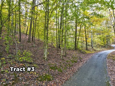 12.34 Acres of wooded hillside with small pond, tall and - photo 26