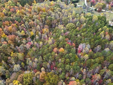 12.34 Acres of wooded hillside with small pond, tall and - photo 29