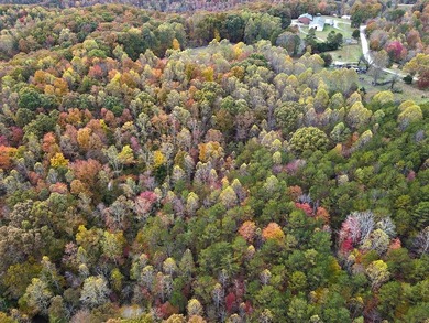 12.34 Acres of wooded hillside with small pond, tall and - photo 30