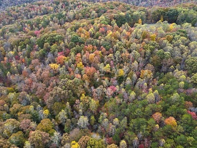 12.34 Acres of wooded hillside with small pond, tall and - photo 31