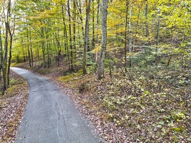 12.34 Acres of wooded hillside with small pond, tall and - photo 32