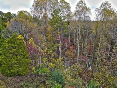 12.34 Acres of wooded hillside with small pond, tall and - photo 33
