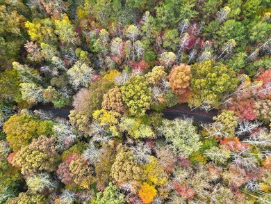 12.34 Acres of wooded hillside with small pond, tall and - photo 34