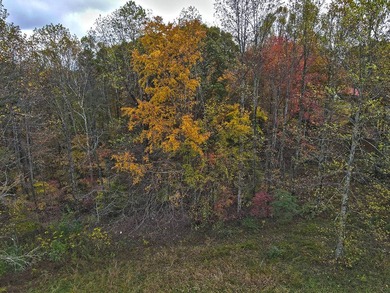 12.34 Acres of wooded hillside with small pond, tall and - photo 35