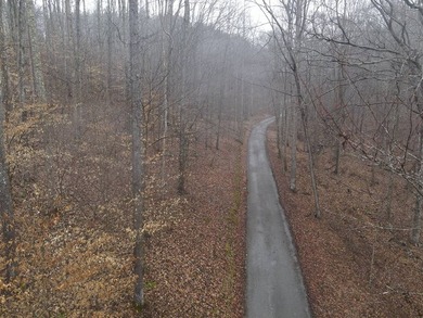 12.34 Acres of wooded hillside with small pond, tall and - photo 36