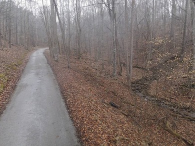 12.34 Acres of wooded hillside with small pond, tall and - photo 37