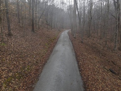 12.34 Acres of wooded hillside with small pond, tall and - photo 38