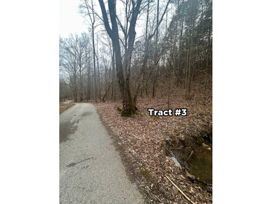 12.34 Acres of wooded hillside with small pond, tall and - photo 39