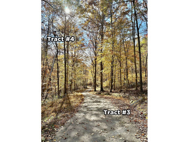 12.34 Acres of wooded hillside with small pond, tall and - photo 40