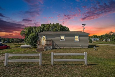 Lake Home For Sale in Custer, Michigan
