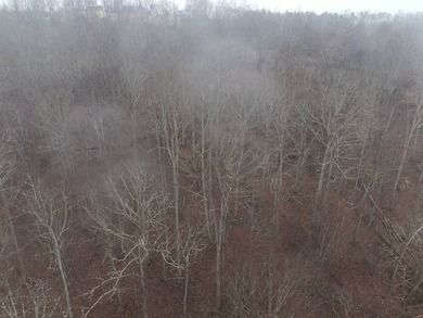 12.34 Acres of wooded hillside with small pond, tall and - photo 41