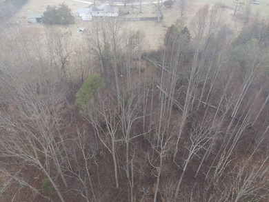 12.34 Acres of wooded hillside with small pond, tall and - photo 42