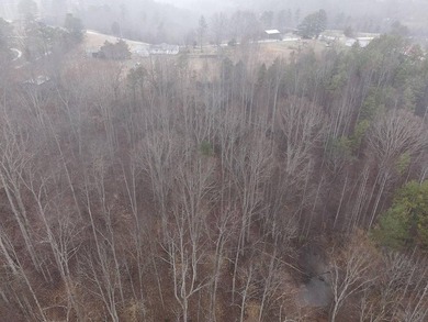 12.34 Acres of wooded hillside with small pond, tall and - photo 43