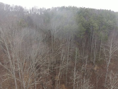 12.34 Acres of wooded hillside with small pond, tall and - photo 44