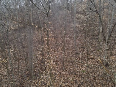12.34 Acres of wooded hillside with small pond, tall and - photo 45