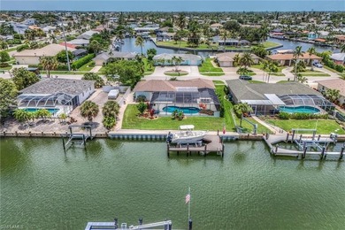 The Mermaid House: She's cute and petite, but don't let that - photo 25