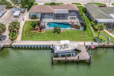 The Mermaid House: She's cute and petite, but don't let that - photo 26