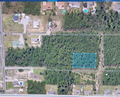 New developments are in the area!! Large corner lot in desirable - photo 1