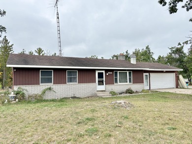 Lake Big Wolf  Home For Sale in Lewiston Michigan