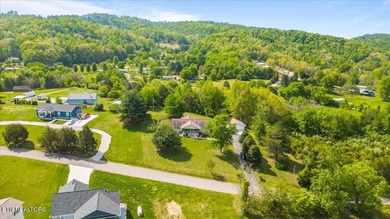 Welcome to your own slice of Paradise on Norris Lake ! This - photo 4