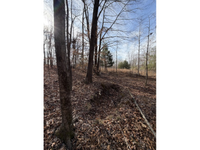 Building Lot with Dock Space Available - photo 7