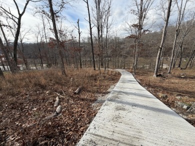 Building Lot with Dock Space Available - photo 10
