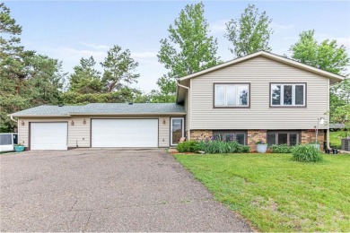 Little Carnelian Lake  Home For Sale in May Twp Minnesota