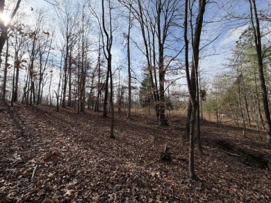 Building Lot with Dock Space Available - photo 6