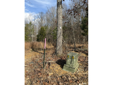 Building Lot with Dock Space Available - photo 3