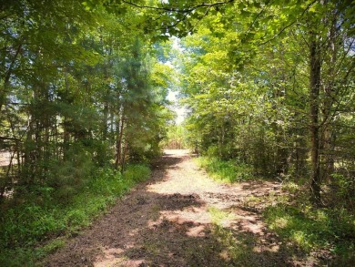 Lake Acreage For Sale in Morrison, Tennessee